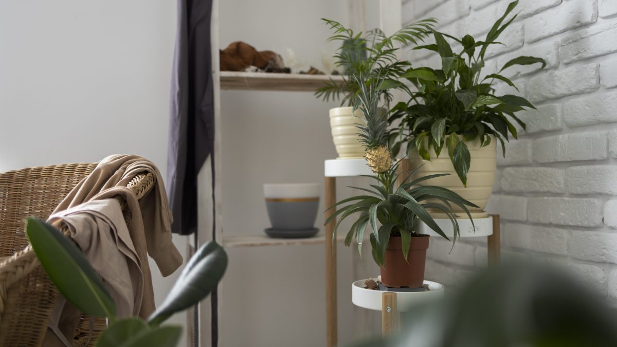Konsep Desain Interior Natural Menggunakan Elemen dari Alam