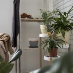 Konsep Desain Interior Natural Menggunakan Elemen dari Alam