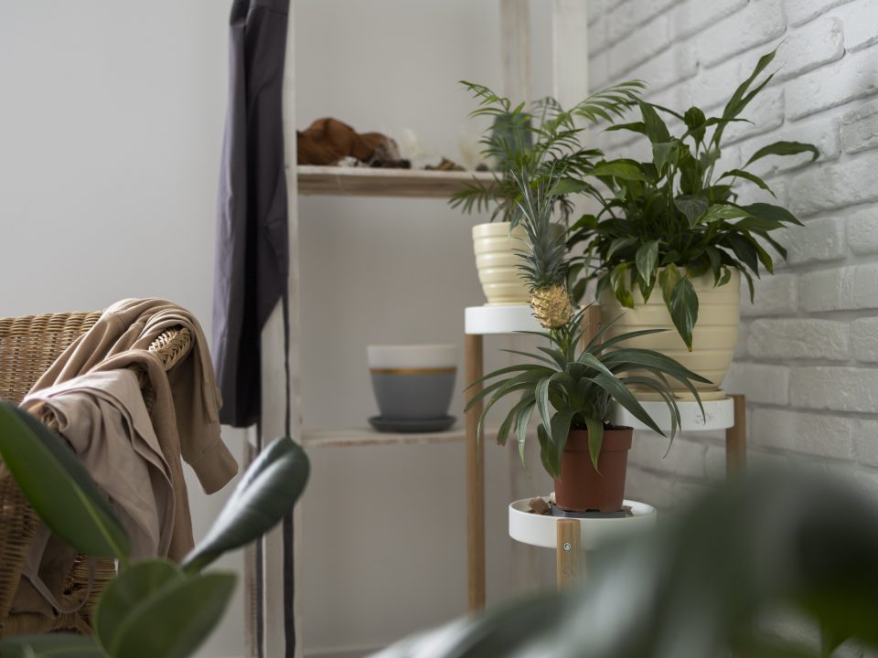 Konsep Desain Interior Natural Menggunakan Elemen dari Alam