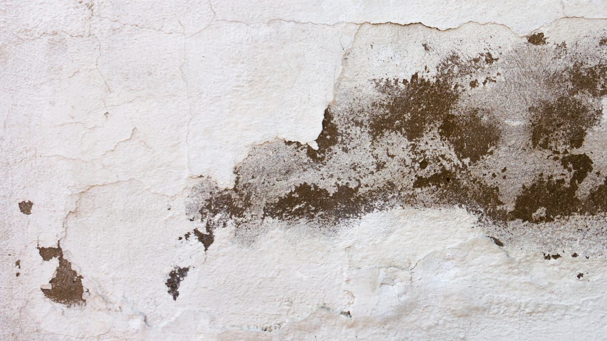 Cara Solutif Mengatasi Permasalahan Dinding Rumah