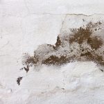 Cara Solutif Mengatasi Permasalahan Dinding Rumah